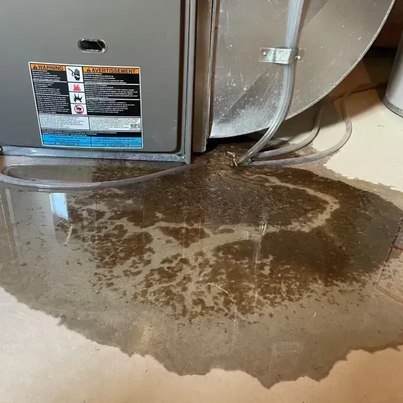 Appliance Leak Cleanup in Lebanon, IL